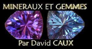 David Caux